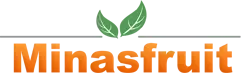 Logotipo de Minasfruit